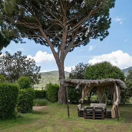 Villa ✰ Parco Della Maremma ✰ ✰ Marina Di