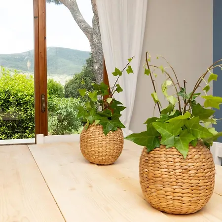 Villa ✰ Parco Della Maremma ✰ ✰ Marina Di